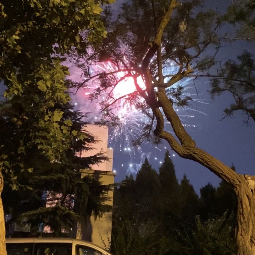 This is a picture of snow. I used the sound of snow and wind as my audio.