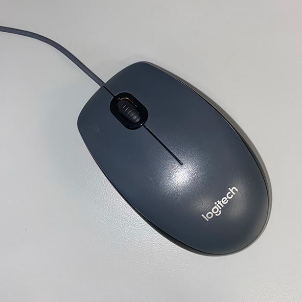 The top of the mouse